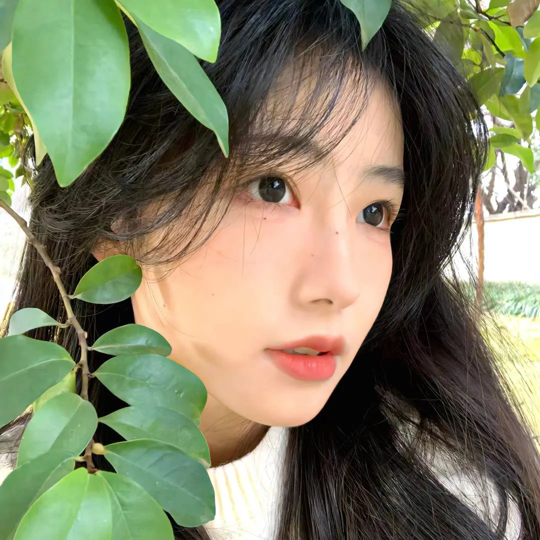 单身狗